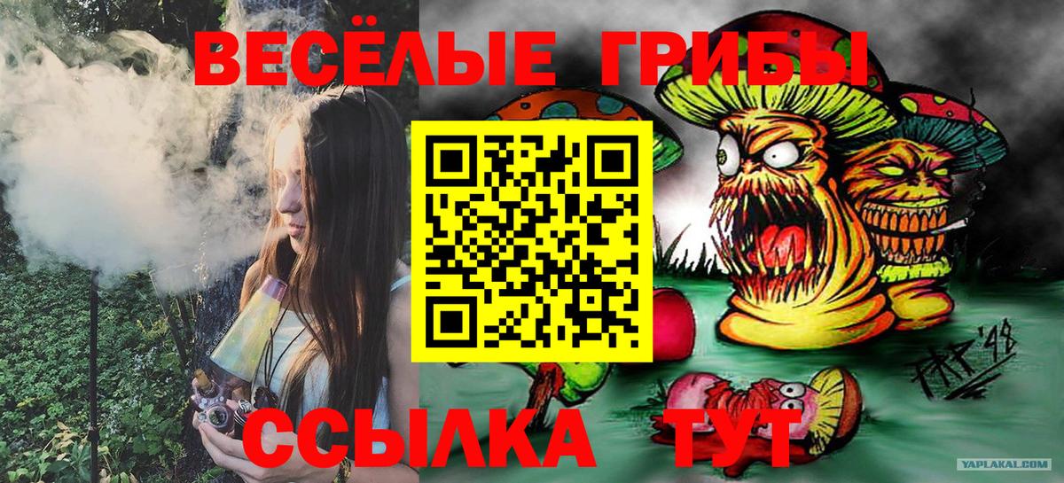 Псилоцибиновые грибы GOLDEN TEACHER Новоуральск
